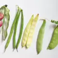 Кои са легуминозните култури