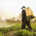 Какво са биологичните пестициди