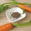 Как да съберете семена от моркови