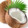 Как да посадим кокосов орех?