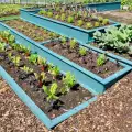 Как да поддържаме градинските лехи