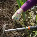 Как се използва цинков сулфат в градината
