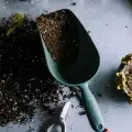 Как да си направим домашен рибен тор за растенията