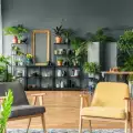 Модерни стайни растения за дом като от списание