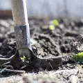 Как да излекуваме почвата?