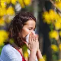 Хипоалергенна градина - за страдащите от алергия градинари