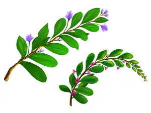 Амфора