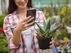 Най-добрите мобилни приложения за грижи за растенията: поддържайте своите домашни растения здрави