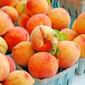 Узряване на праскови