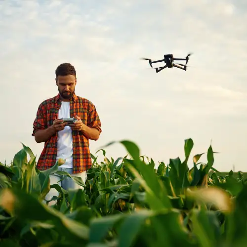 Използване на дронове в съвременното растениеводство