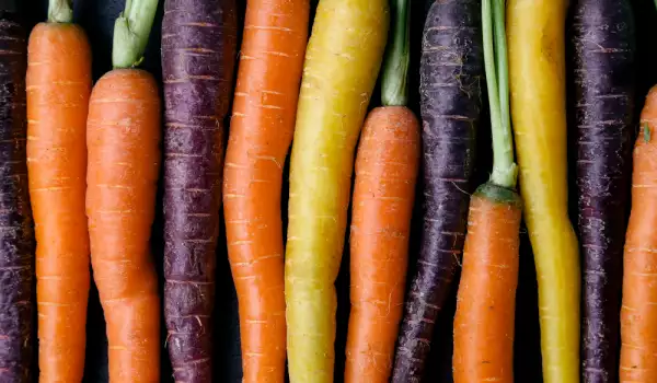 Популярни сортове моркови за градината