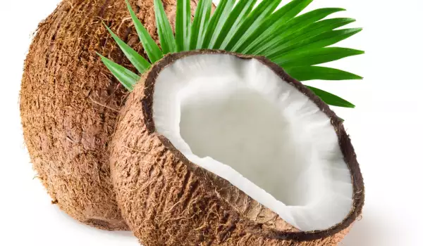 Как да посадим кокосов орех?
