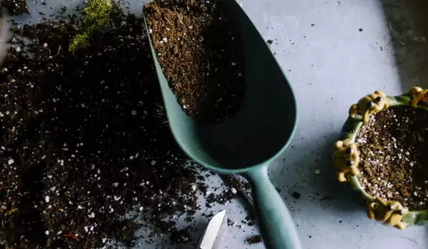 Как да подкиселим почвата