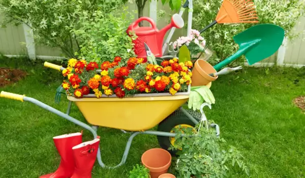 Как да съчетаем цветовете в градината?