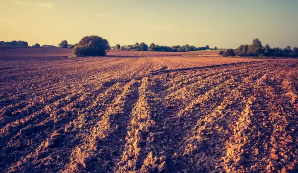 Как да стане почвата по-плодородна