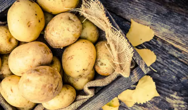 Пръстеновидно гниене на картофи