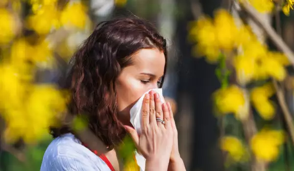 Хипоалергенна градина - за страдащите от алергия градинари