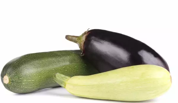 Устойчиви сортове тиквички