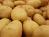 Ранна мана по картофите (Alternaria solani)
